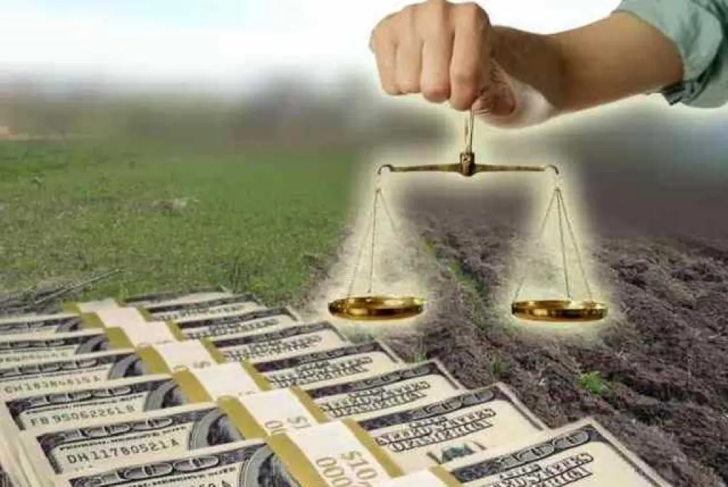 На Тернопільщині посадовців підозрюють у незаконній реєстрації землі вартістю 39 мільйонів