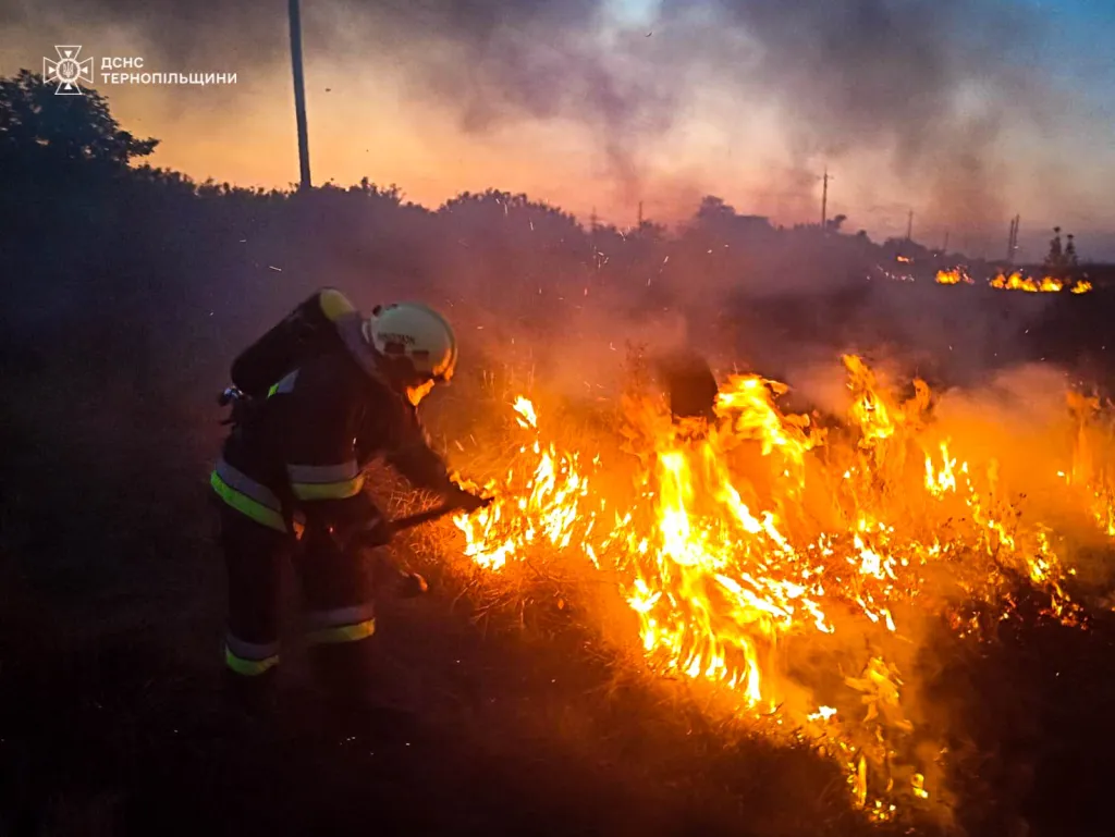 На Тернопільщині згорів трансформатор та суха трава: рятувальники ліквідували кілька пожеж