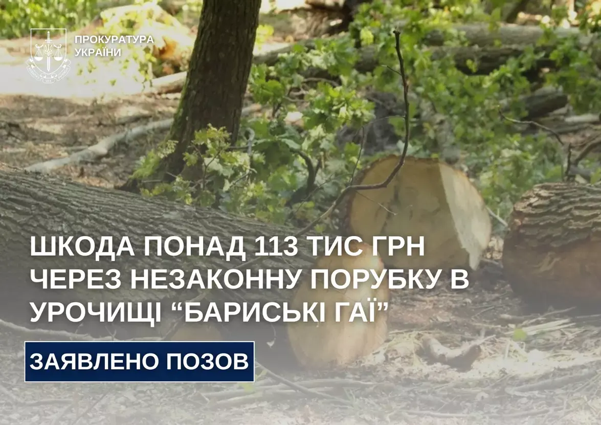 Бучацьку міську раду судитимуть за збитки від незаконної вирубки у «Бариських Гаях»
