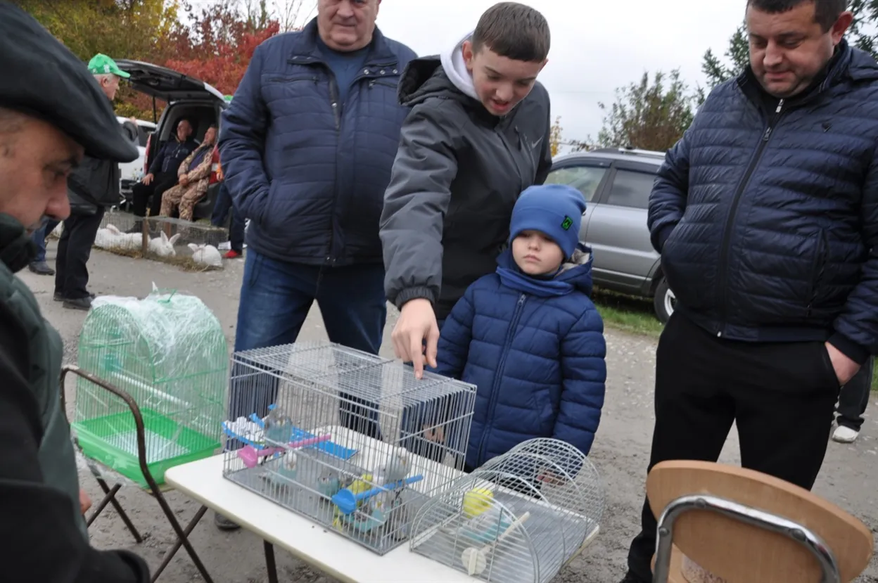«Голуб миру» вкотре прилетів до Чорткова