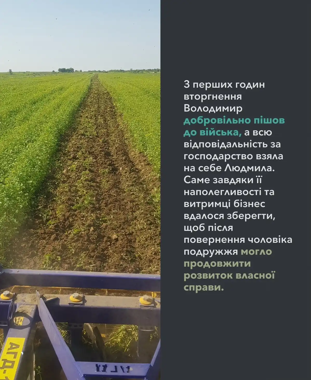Після фронту – в агрономію: на Тернопільщині ветеран ЗСУ відкриває полуничний бізнес