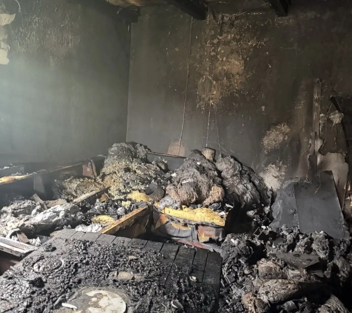 Вогонь знищив популярну базу відпочинку на Тернопільщині: власники показали наслідки пожежі