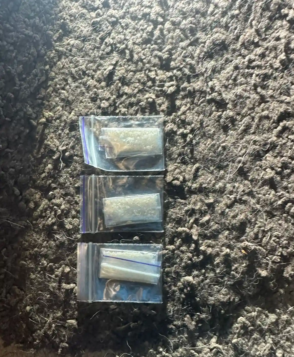 Поліцейські затримали двох жителів Одеси за підозрою у збуті наркотиків та психотропів.