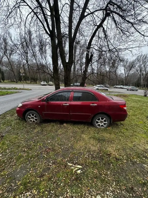 “9 покинутих автомобілів заважають на вулицях Тернополя”: стало відомо, яку проблему вони створюють для людей