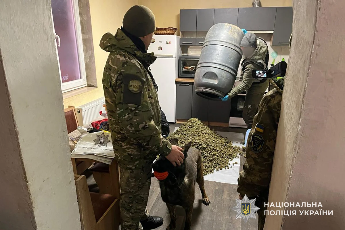 Підпільний бізнес на коноплях: у селі Чортківщини викрили нарколабораторію з мільйонним оборотом