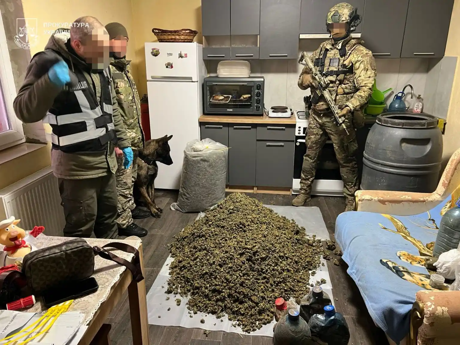 Підпільний бізнес на коноплях: у селі Чортківщини викрили нарколабораторію з мільйонним оборотом