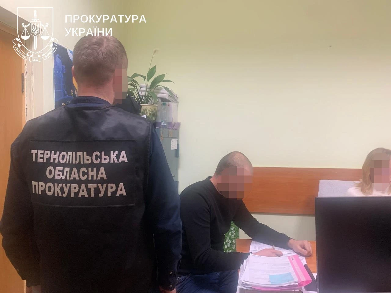 Незаконна вирубка тисяч дерев на Тернопільщині обернулася підозрою для держслужбовця