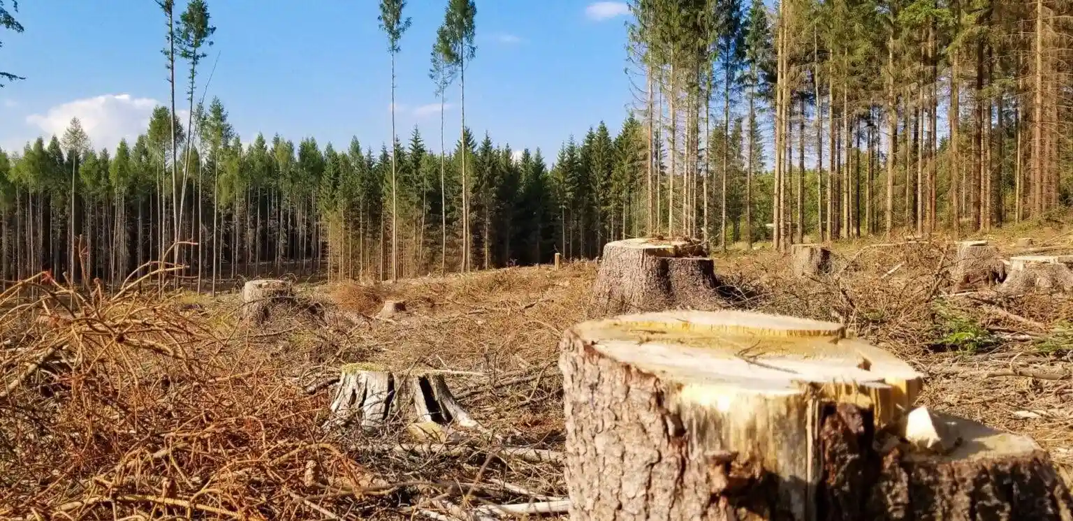 На Тернопільщині підрахували екозбитки 2025 року – понад 80 мільйонів гривень
