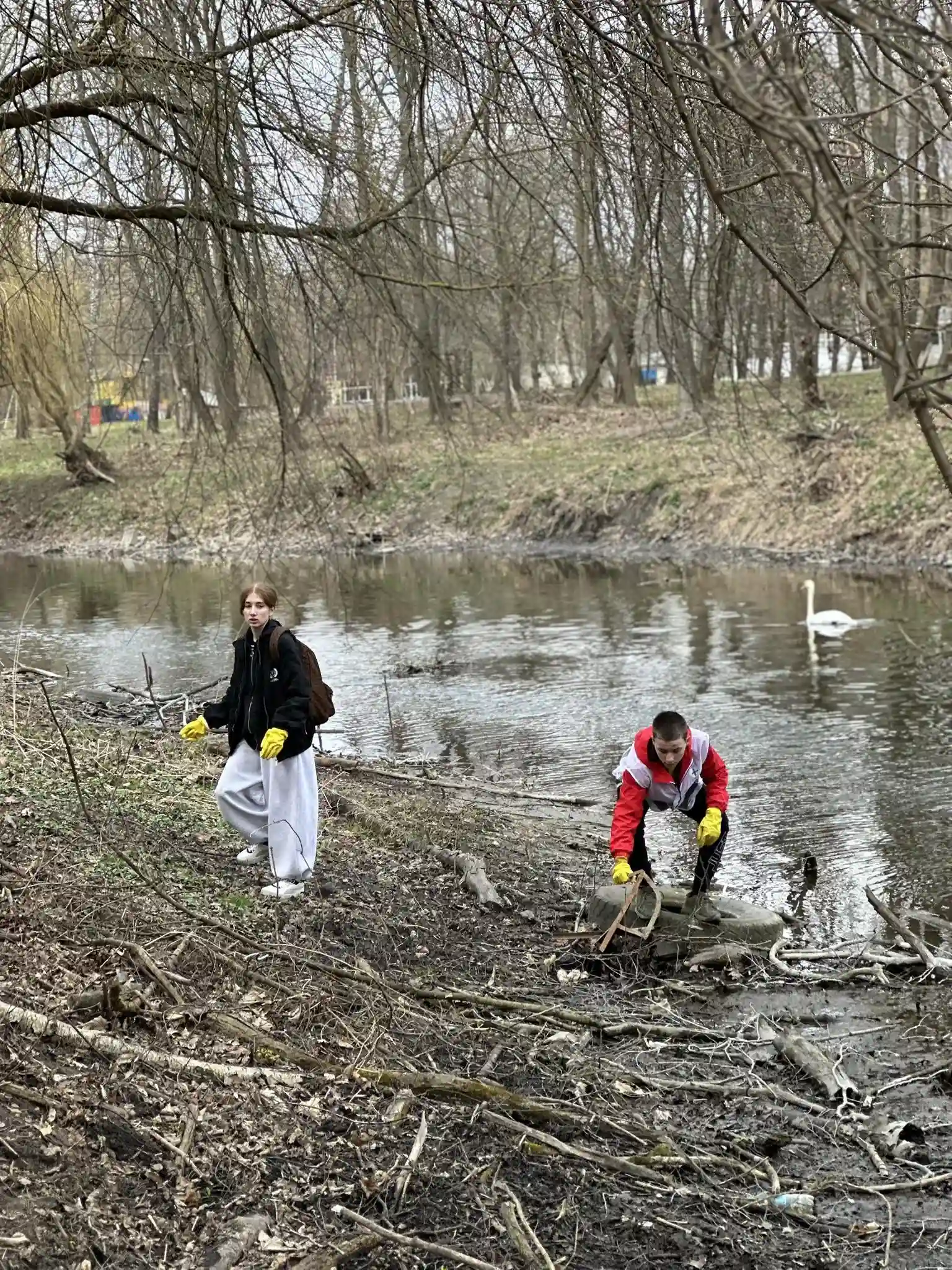 Рекордне прибирання у Тернополі: волонтери очистили парк «Сопільче»