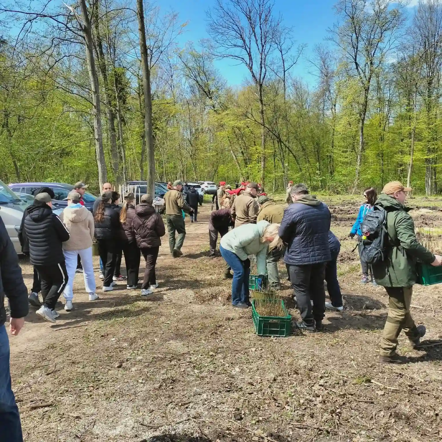 Живий меморіал на Тернопільщині: у Скалатському лісництві з’явилася дубова алея