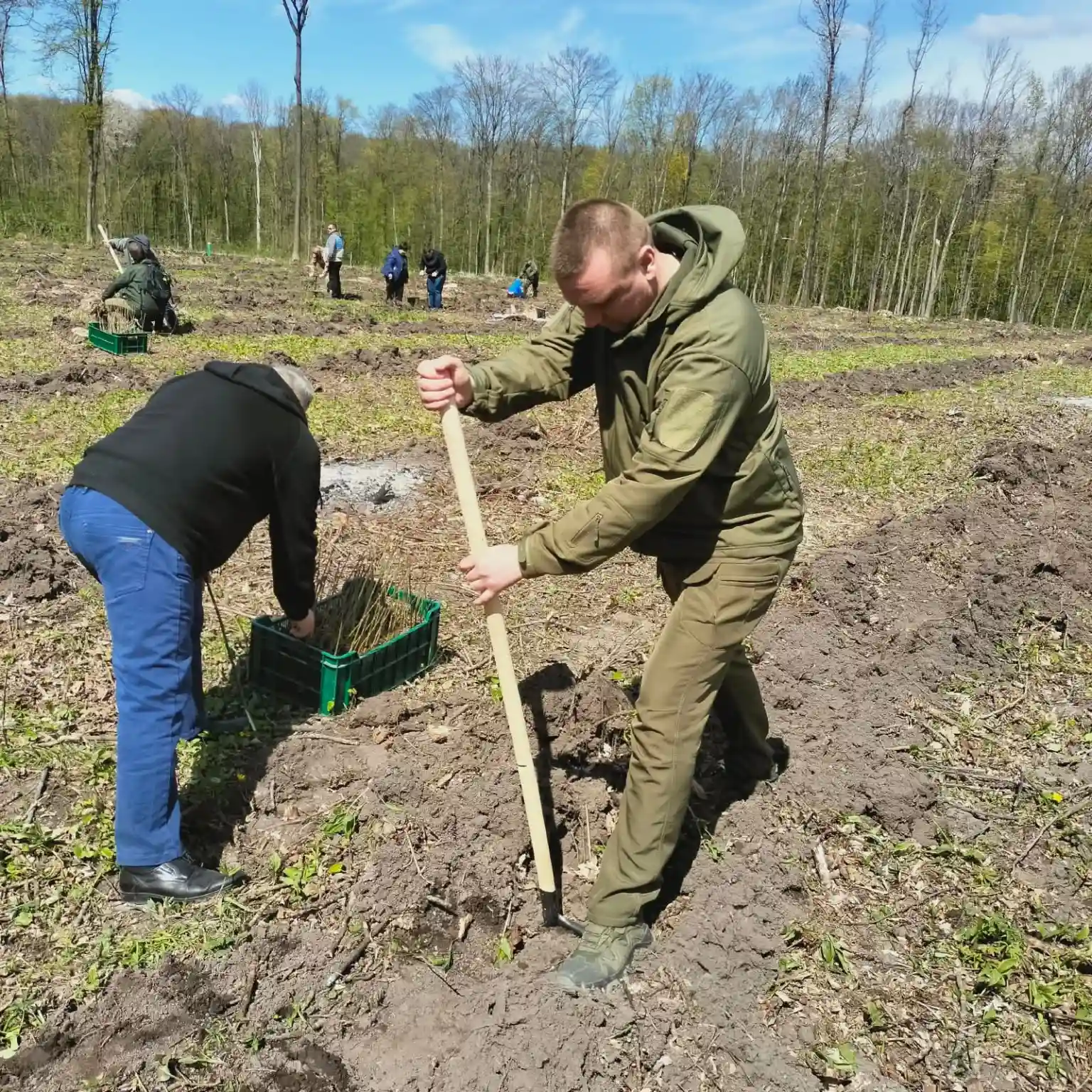 Живий меморіал на Тернопільщині: у Скалатському лісництві з’явилася дубова алея