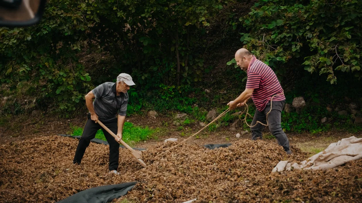Як зміни на ринку праці впливають на пошук роботи