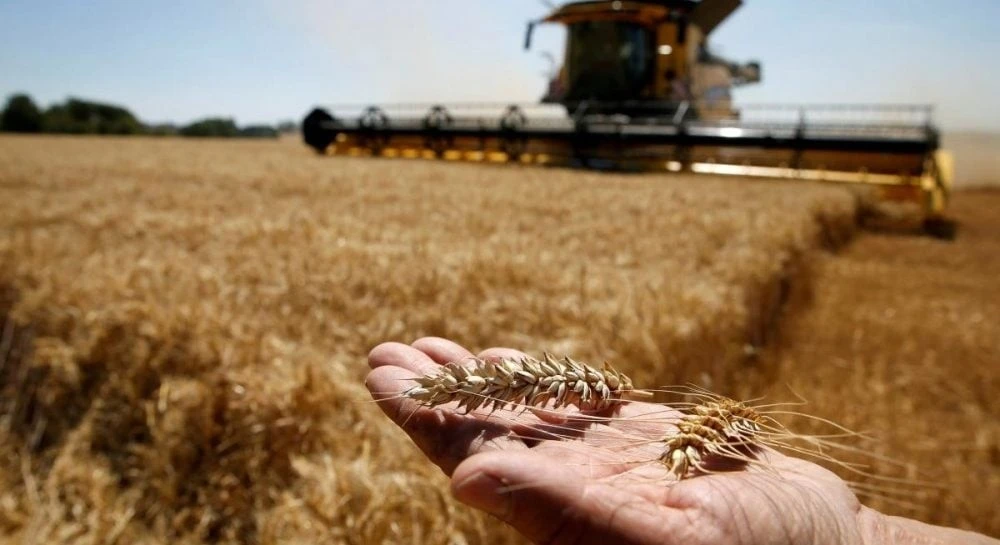 Київ попереджає про можливу кризу з Ізраїлем через судно із зерном з окупованих територій