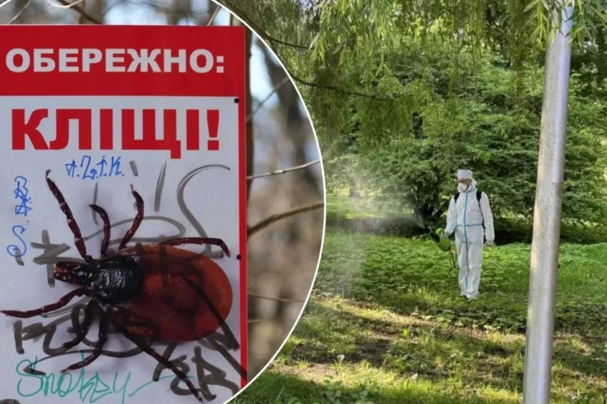 Парк Сопільче закриють для прогулянок через дезінсекцію