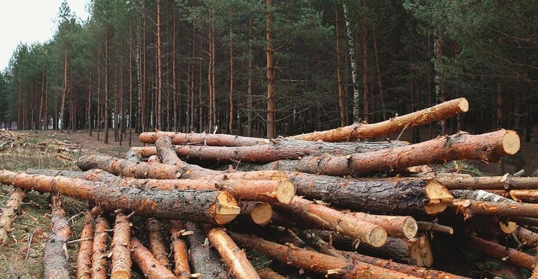 Екологічні збитки на Тернопільщині сягнули 15 мільйонів